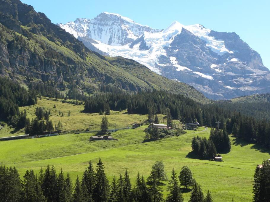 Apartment With Great View At Residence Brunner Wengen Bagian luar foto