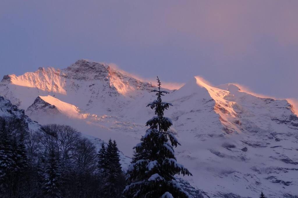 Apartment With Great View At Residence Brunner Wengen Bagian luar foto