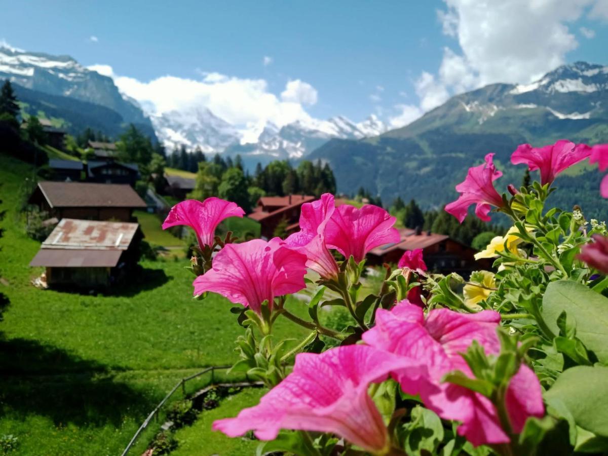 Apartment With Great View At Residence Brunner Wengen Bagian luar foto